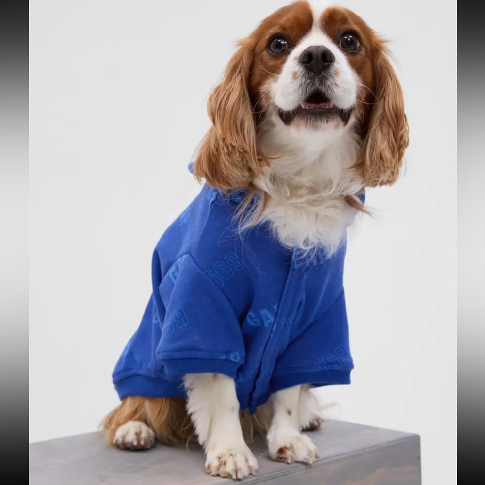 Gap Dog Hoodie - Royal Blue - Extra Small